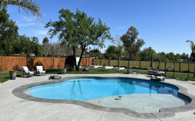 Swimming Pool Water Treatment Options