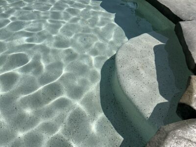 Restore your Pool and add a new step 