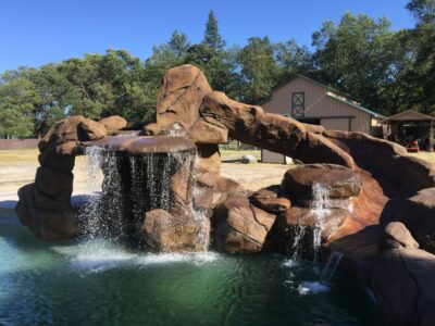 Resort Style Swimming Pool Contractor Butte County